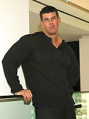 The Down Staircase by Zeb Atlas image #8