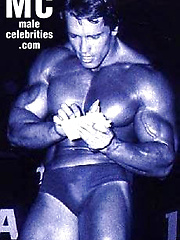 Arnold Schwarzenegger by Male Stars image #7
