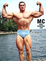 Arnold Schwarzenegger by Male Stars image #7