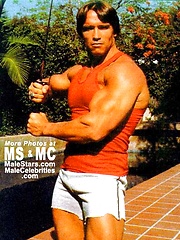 Arnold Schwarzenegger by Male Stars image #7