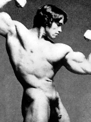 Arnold Schwarzenegger by Male Stars image #7