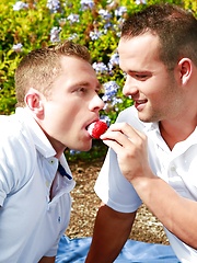 Next Door Buddies - Picnic Pleasures by Nextdoor Buddies image #10