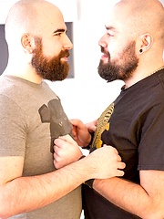 Jean Paul and Bearsilien by Bear Films image #9