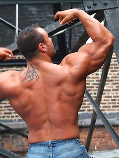 Johnny Bravo, muscle man by Muscle Gallery by Muscle Gallery image #10