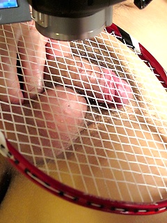 Sexy Japanese Badminton Boy Yuta by Japan Boyz by Japan Boyz image #14