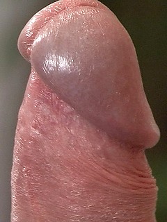 Chris S strokes dick