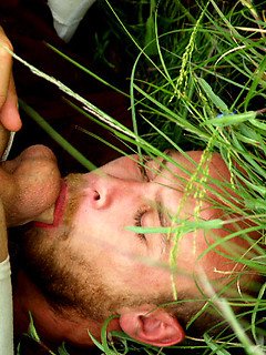 Hot men Logan McCree and Scott Campbell outdoor fuck by Hairy Boyz by Hairy Boyz image #3