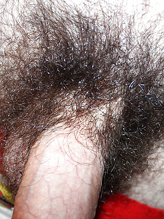 Are Those Pubes Real? by PitsAndPubes by PitsAndPubes image #6