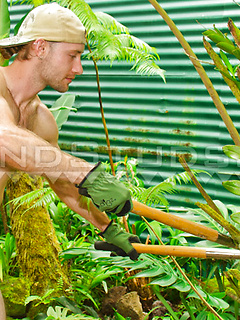 Thick 9" Dick Bowie: Ripped, Donkey Ball Farm Boy Works, Pees x2, Shows Hairy Hole and Bust a Big Load in Hawaii! by Island Studs by Island Studs image #9