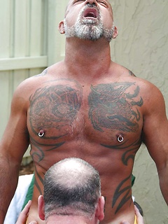 Bo Bangor and Mickey Collins Hardcore fucking by Hot Older Male by Hot Older Male image #1