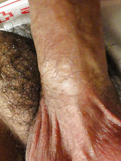 Shaggy Skater Dry Humps