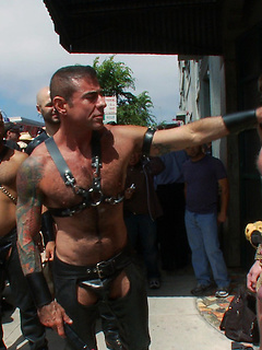 Dore Alley Pig by Bound in Public by Bound in Public image #6