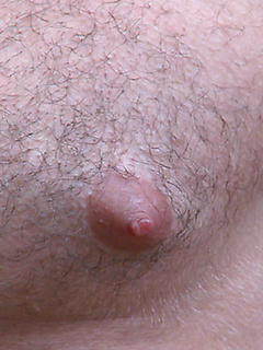 Muscular Young Pup Tom Strips & Shows off His Very Hairy Body, soon Covered in Cum! by English Lads by English Lads image #11