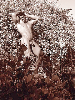 In Savage Garden